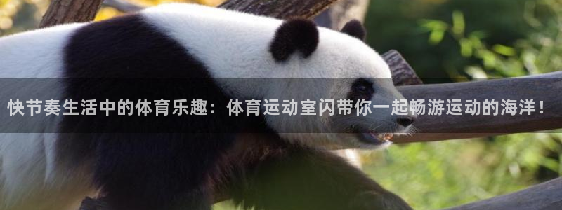 快节奏生活中的体育乐趣：体育运动室闪带你一起畅游运动的海洋！