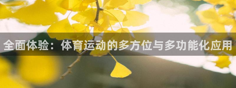 全面体验：体育运动的多方位与多功能化应用
