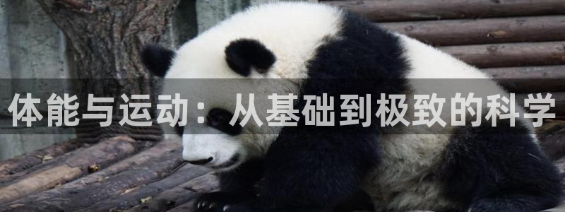 体能与运动：从基础到极致的科学