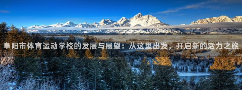 阜阳市体育运动学校的发展与展望：从这里出发，开启新的活力之旅
