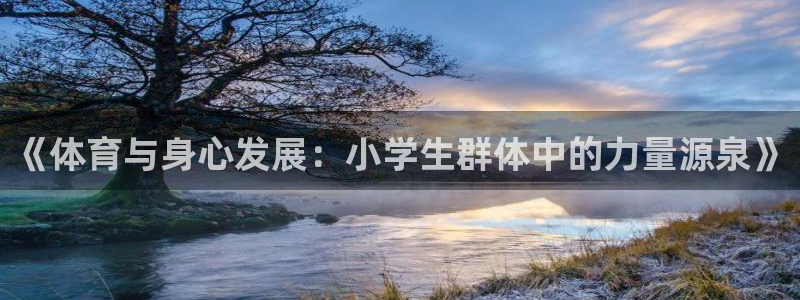 《体育与身心发展：小学生群体中的力量源泉》