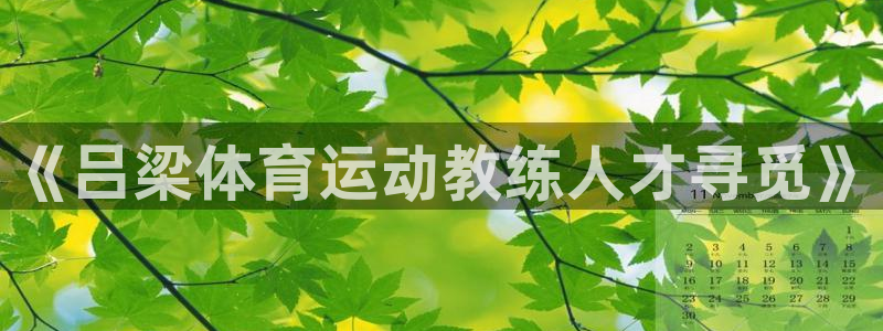《吕梁体育运动教练人才寻觅》