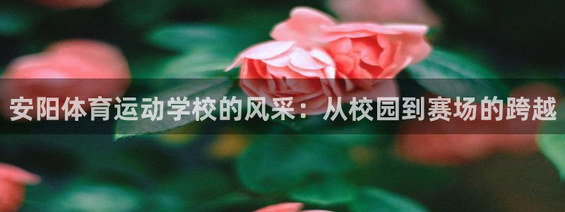 安阳体育运动学校的风采：从校园到赛场的跨越