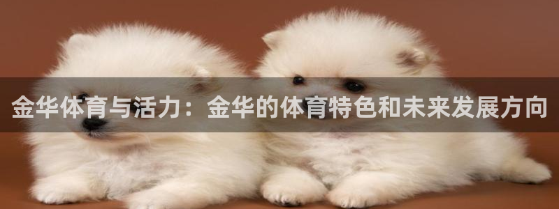 金华体育与活力：金华的体育特色和未来发展方向