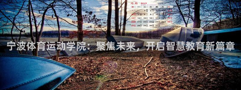 宁波体育运动学院：聚焦未来，开启智慧教育新篇章
