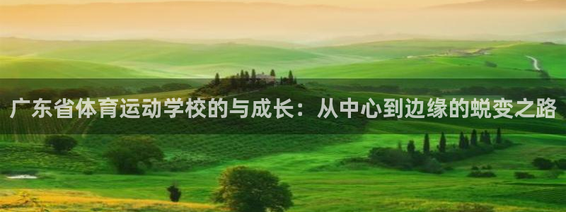 广东省体育运动学校的与成长：从中心到边缘的蜕变之路