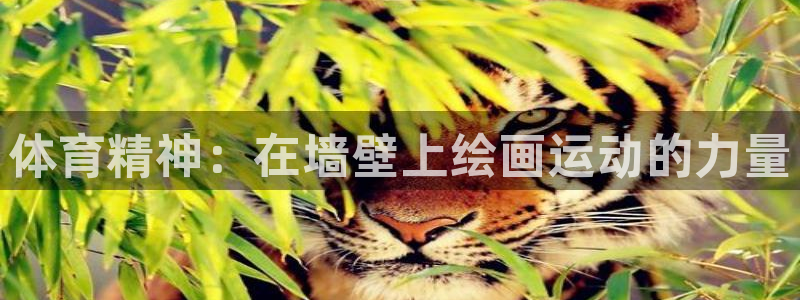 体育精神：在墙壁上绘画运动的力量