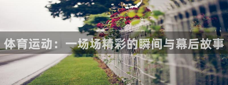 体育运动：一场场精彩的瞬间与幕后故事