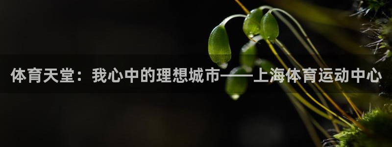 体育天堂：我心中的理想城市——上海体育运动中心