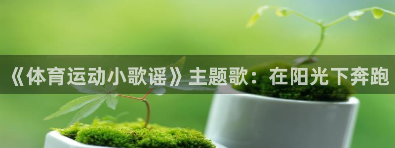 《体育运动小歌谣》主题歌：在阳光下奔跑