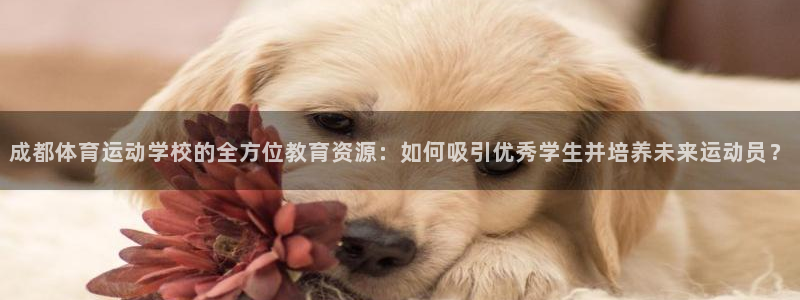 成都体育运动学校的全方位教育资源：如何吸引优秀学生并培养未来运动员？