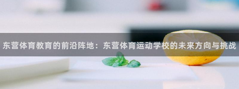 东营体育教育的前沿阵地：东营体育运动学校的未来方向与挑战