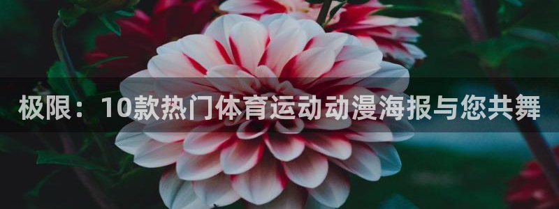 极限：10款热门体育运动动漫海报与您共舞