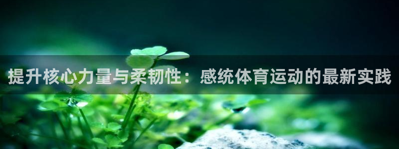 提升核心力量与柔韧性：感统体育运动的最新实践