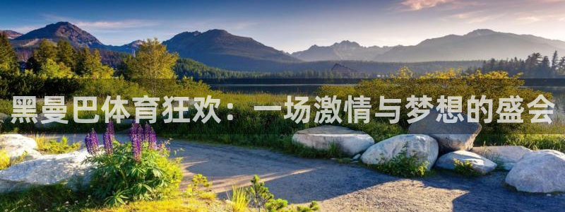 黑曼巴体育狂欢：一场激情与梦想的盛会