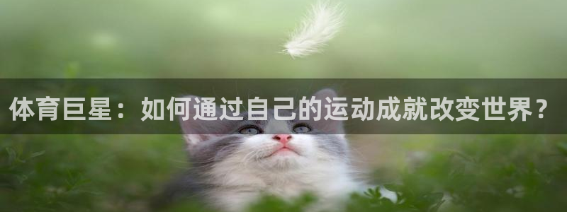 体育巨星：如何通过自己的运动成就改变世界？
