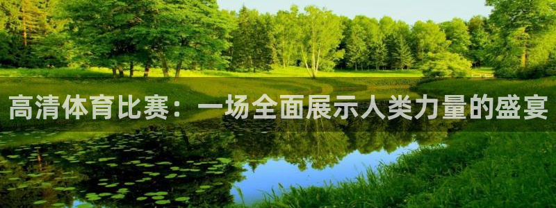 高清体育比赛：一场全面展示人类力量的盛宴
